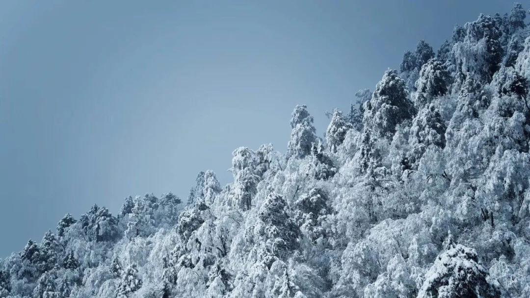 探索在百度知道里面建了个知道团队,如何让更多的人加入??如何宣传自己的团队,让更多的人知道和加入?的热门话题 | 在百度知道里面建了个知道团队,如何让更多的人加入??如何宣传自己的团队,让更多的人知道和加入?红迪网平台